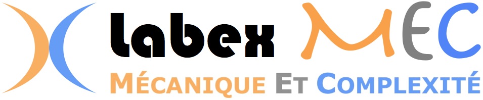 Logo_Labex_MEC_2.jpg